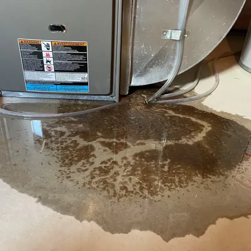 Appliance Leak Cleanup in Green Hill, TN